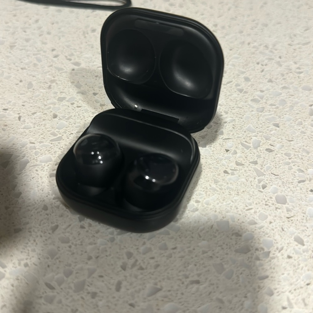 Ears bugs